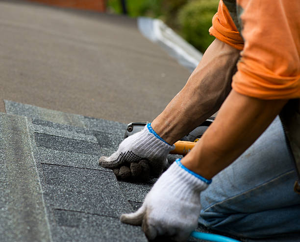 Best Gutter Installation and Roofing  in Fruitport, MI