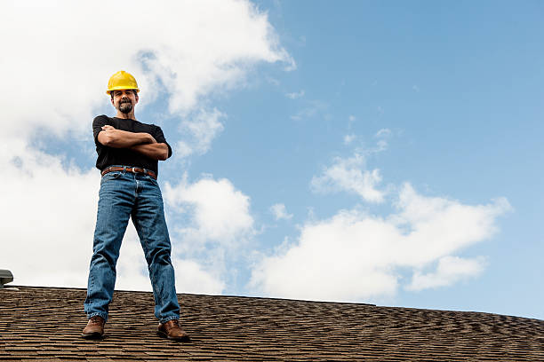 Best Roof Gutter Cleaning  in Fruitport, MI