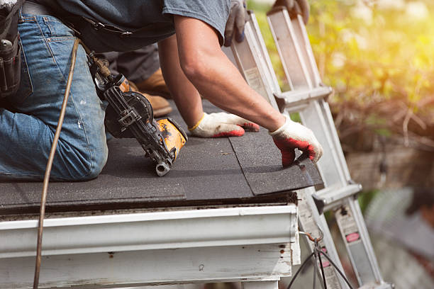 Best Shingle Roofing Installation  in Fruitport, MI