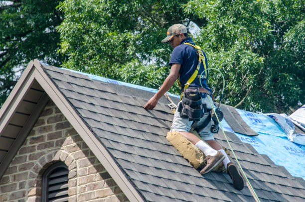 Best Gutter Installation and Roofing  in Fruitport, MI
